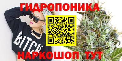 гидропоника Шахты