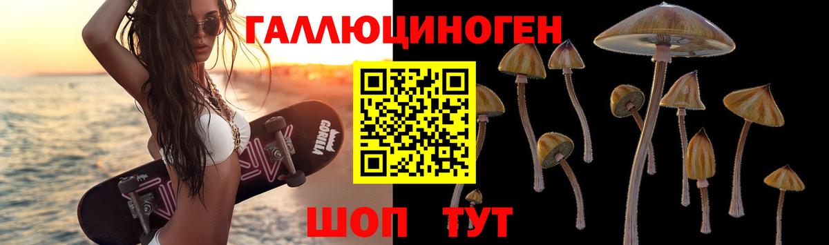 Галлюциногенные грибы Psilocybine cubensis  Галлюциногенные грибы Cubensis  Вход с VPN  закладка  Менделеевск 